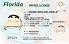 Small Size United States FLORIDA - View 1 - High Quality Scannable ID