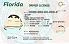 Medium Size United States FLORIDA - High Quality Scannable ID