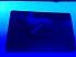Small Size United States ILLINOIS - View 5 - High Quality Scannable ID