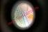 Small Size United States MAINE - View 7 - High Quality Scannable ID
