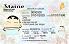 Small Size United States MAINE - View 1 - High Quality Scannable ID
