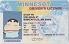 Small Size United States MINNESOTA - View 2 - High Quality Scannable ID