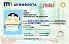 Small Size United States MINNESOTA - View 1 - High Quality Scannable ID