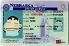 Small Size United States NEBRASKA - View 2 - High Quality Scannable ID