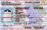 Small Size United States New Hampshire (New-NH) - View 2 - High Quality Scannable ID