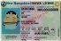 Small Size United States NEW HAMPSHIRE - View 2 - High Quality Scannable ID