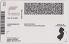 Small Size United States NEW-JERSEY - View 3 - High Quality Scannable ID