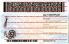 Small Size United States New York State-New2024 - View 3 - High Quality Scannable ID