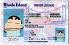 Small Size United States RHODE-ISIAND - View 2 - High Quality Scannable ID