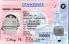 Small Size United States TENNESSEE-New - View 1 - High Quality Scannable ID