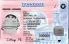 Medium Size United States TENNESSEE-New - High Quality Scannable ID