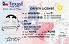 Small Size United States TEXAS-New - View 1 - High Quality Scannable ID