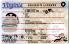 Small Size United States Virginia-New2024 - View 2 - High Quality Scannable ID