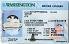 Small Size United States WASHINGTON - View 5 - High Quality Scannable ID